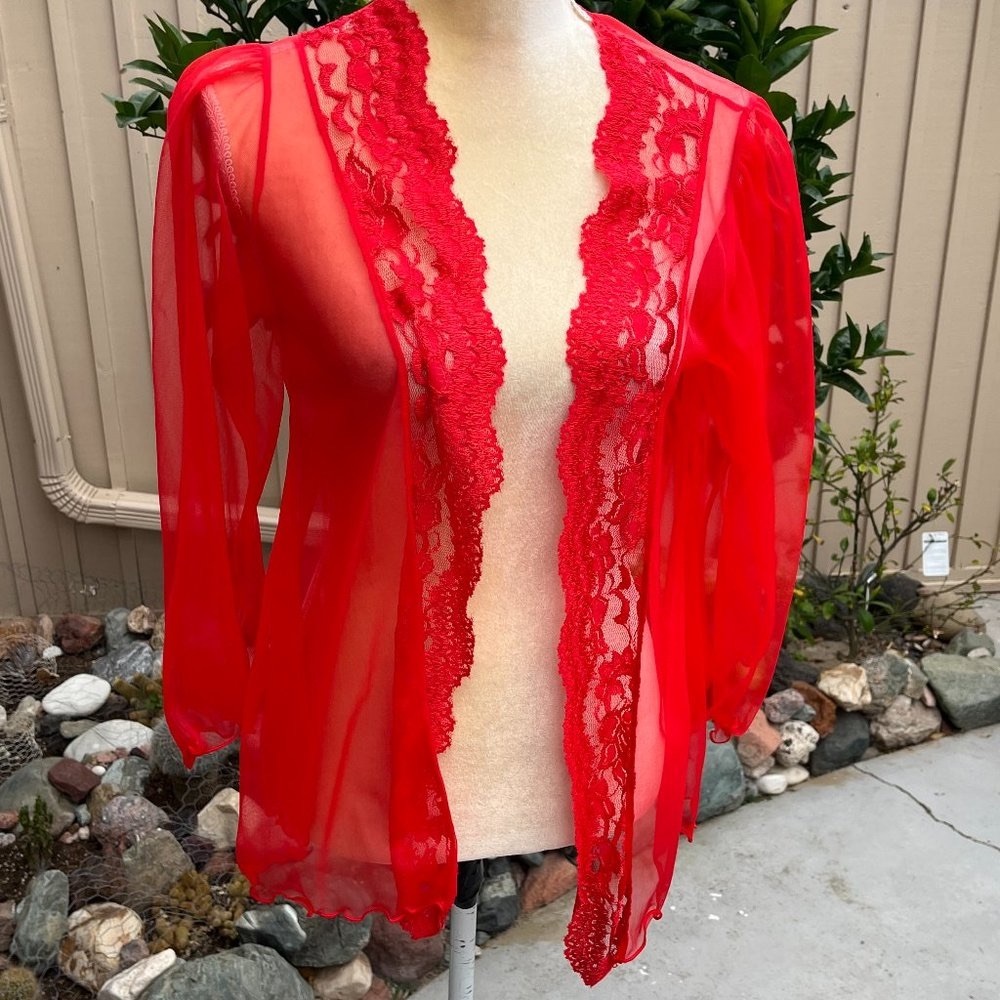 Sheer embroidered jacket / robe